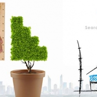 SEO Company India