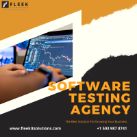 Partner with best software testing company